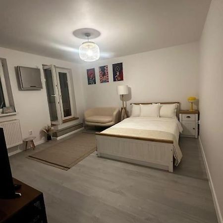 Apartament Studio Cozy Piata Victoriei Bukareszt Zewnętrze zdjęcie